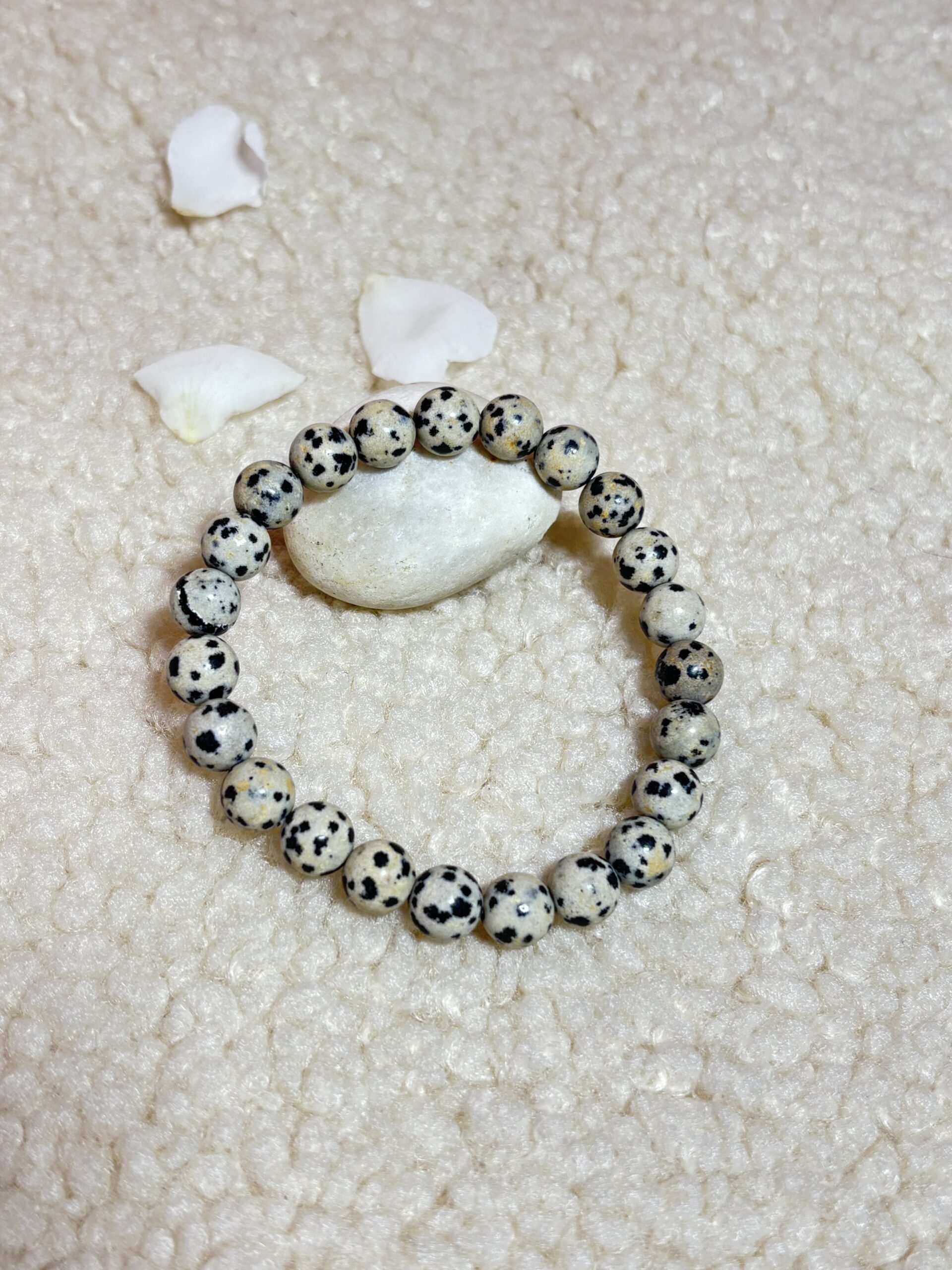 IMG_2962 Dalmention Bracelet 8mm